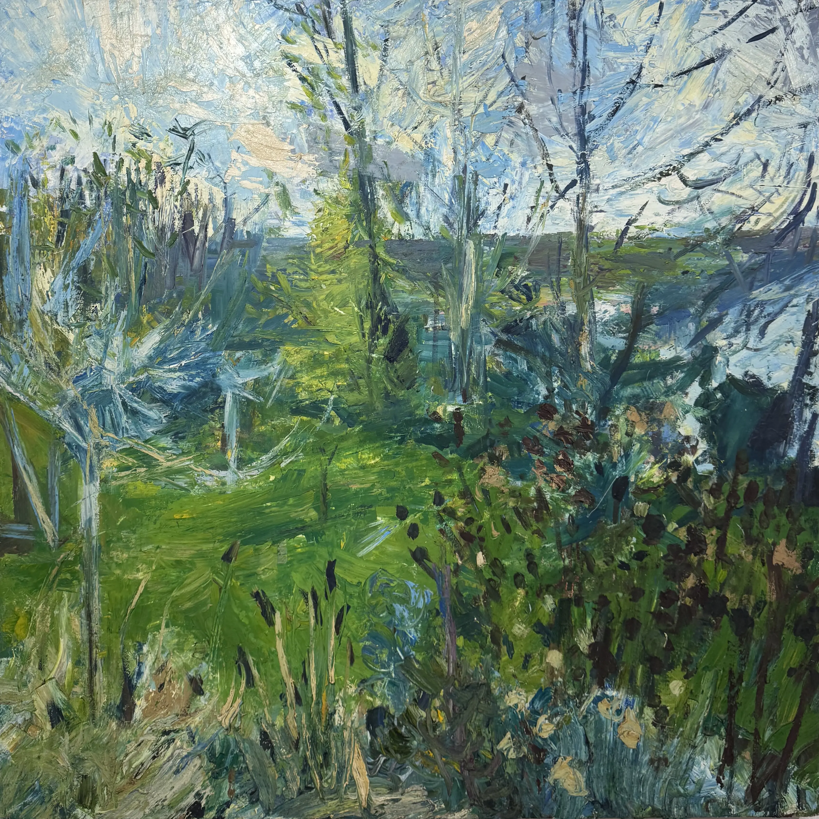 Wintry Yet Green Orchard